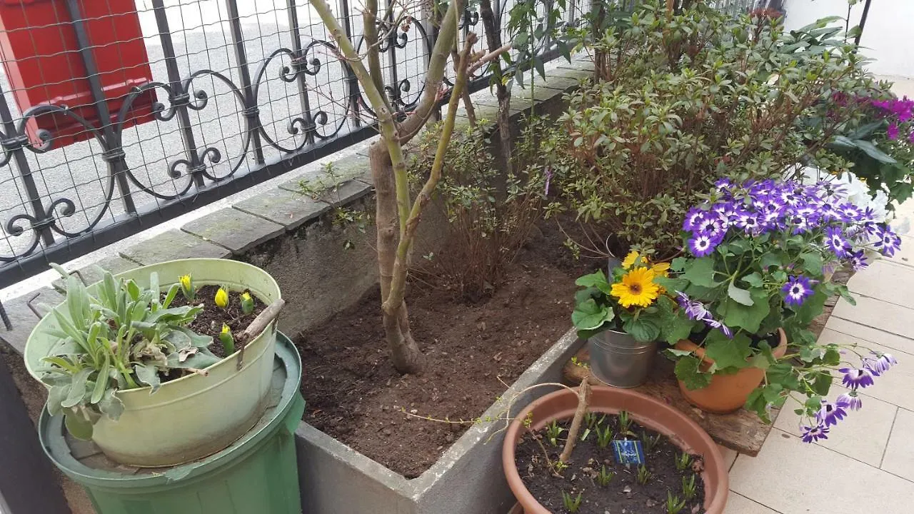 רו Monteceneri 9 B&B לינה וארוחת בוקר